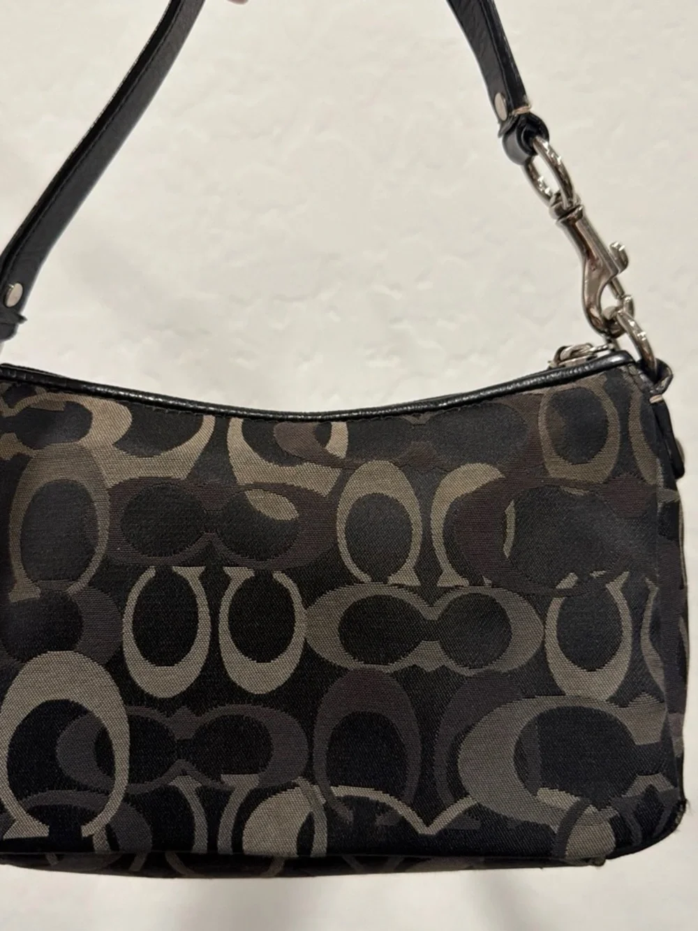 Coach Chelsea Optic Signature Demi Pouch Bag